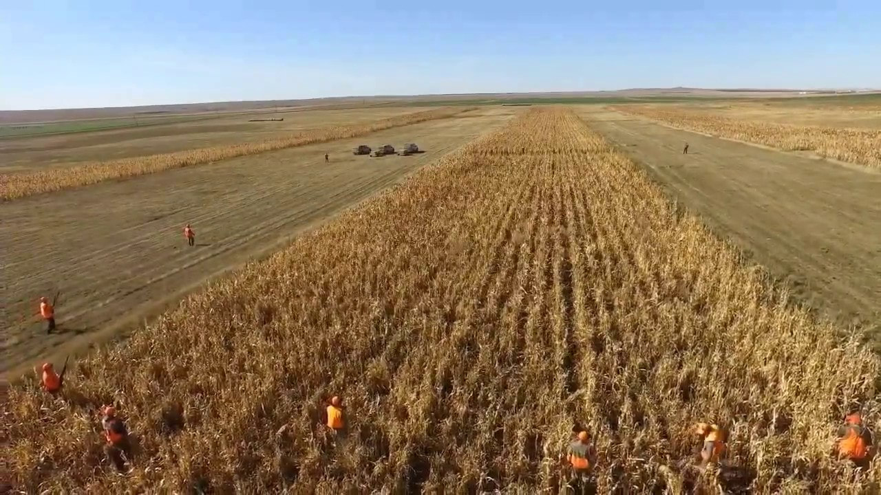 public hunting land- aberdeen sd
